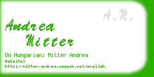 andrea mitter business card